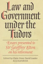 Law and Government under the Tudors