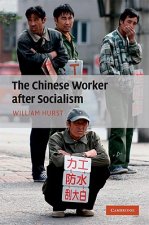 Chinese Worker after Socialism