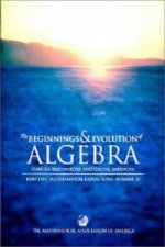 Beginnings and Evolution of Algebra