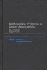 Mathematical Problems in Linear Viscoelasticity