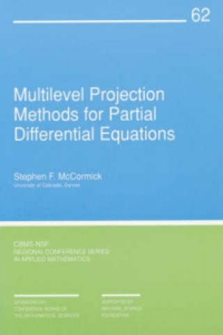 Multilevel Projection Methods for Partial Differential Equations