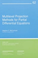 Multilevel Projection Methods for Partial Differential Equations