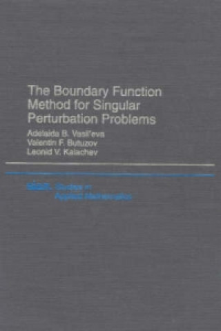Boundary Function Method for Singular Perturbation Problems