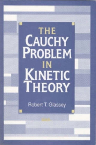 Cauchy Problem in Kinetic Theory