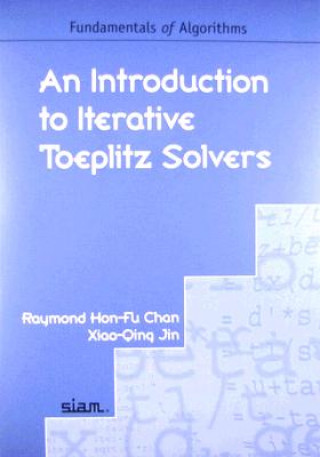 Introduction to Iterative Toeplitz Solvers