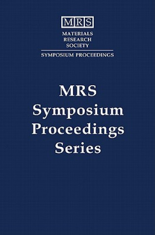 Advanced Surface Processes for Optoelectronics: Volume 126