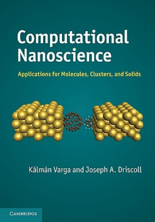 Computational Nanoscience
