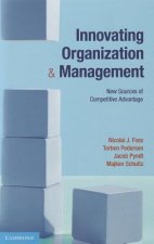 Innovating Organization and Management