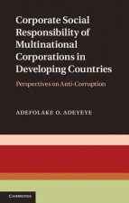 Corporate Social Responsibility of Multinational Corporations in Developing Countries