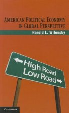 American Political Economy in Global Perspective