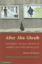After Abu Ghraib