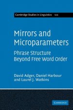 Mirrors and Microparameters