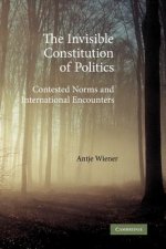 Invisible Constitution of Politics