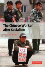 Chinese Worker after Socialism