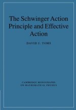 Schwinger Action Principle and Effective Action