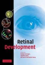 Retinal Development