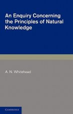 Enquiry Concerning the Principles of Natural Knowledge