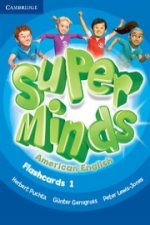 Super Minds American English Level 1 Flashcards (Pack of 103)