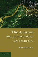 Amazon from an International Law Perspective