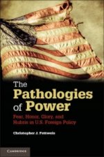 Pathologies of Power