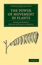Power of Movement in Plants