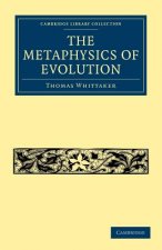 Metaphysics of Evolution