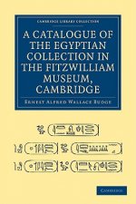Catalogue of the Egyptian Collection in the Fitzwilliam Museum, Cambridge