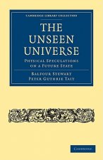 Unseen Universe