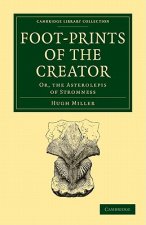 Footprints of the Creator