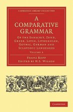 Comparative Grammar of the Sanscrit, Zend, Greek, Latin, Lithuanian, Gothic, German, and Sclavonic Languages