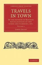 Travels in Town