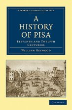 History of Pisa