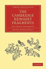 Cambridge Reinaert Fragments