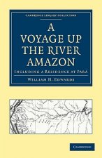 Voyage up the River Amazon