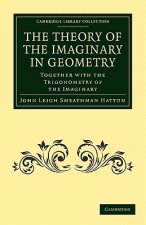 Theory of the Imaginary in Geometry