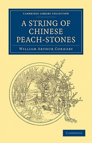 String of Chinese Peach-Stones