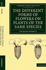 Different Forms of Flowers on Plants of the Same Species