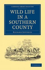 Wild Life in a Southern County