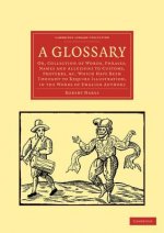 Glossary