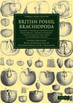 British Fossil Brachiopoda