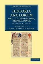 Historia Anglorum sive, ut vulgo dicitur, Historia Minor
