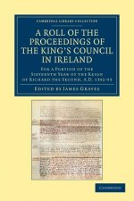 Roll of the Proceedings of the King's Council in Ireland