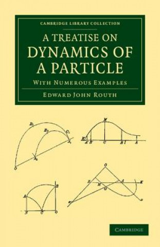 Treatise on Dynamics of a Particle