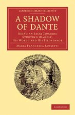 Shadow of Dante