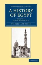 History of Egypt: Volume 6, In the Middle Ages