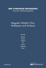 Magnetic Ultrathin Films, Multilayers and Surfaces: Volume 384