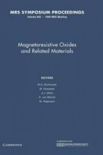 Magnetoresistive Oxides and Related Materials: Volume 602