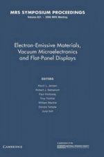 Electron-Emissive Materials, Vacuum Microelectronics and Flat-Panel Displays: Volume 621