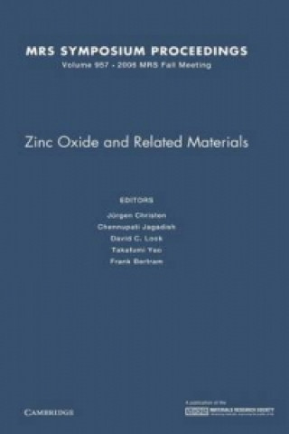 Zinc Oxide and Related Materials: Volume 957