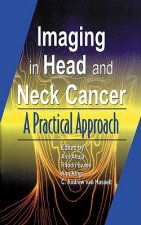 Imaging of Head and Neck Cancer